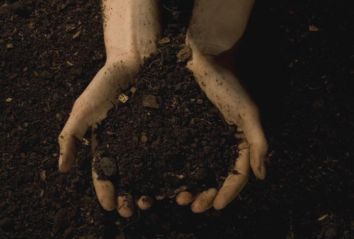 gleba w dłoniach